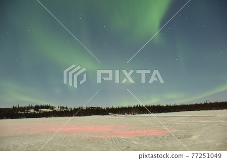 Aurora of Canada 77251049