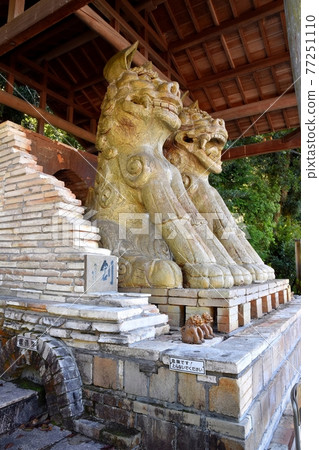 Mizunami City's No. 1 Shiba Inu Mizunami City's No. 1 Shiba Inu 77251110