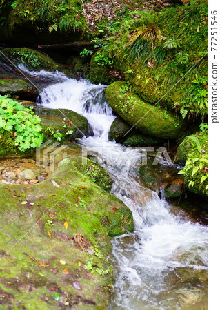 角仙溪的新綠 77251546