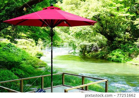 Fresh green of Kakusenkei 77251662