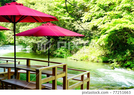 Fresh green of Kakusenkei Fresh green of Kakusenkei 77251663