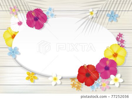 熱帶花卉芙蓉和板牆框架 矢量插圖 77252036