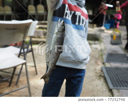 被男孩釣到的魚 1 被男孩釣到的魚 1 77252748
