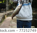 被男孩釣到的魚 2 77252749