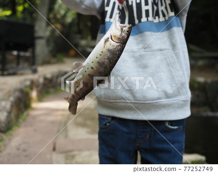 被男孩釣到的魚 2 被男孩釣到的魚 2 77252749