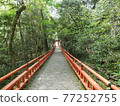 美國神宮橋 77252755