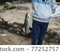 被男孩釣到的魚 3 77252757