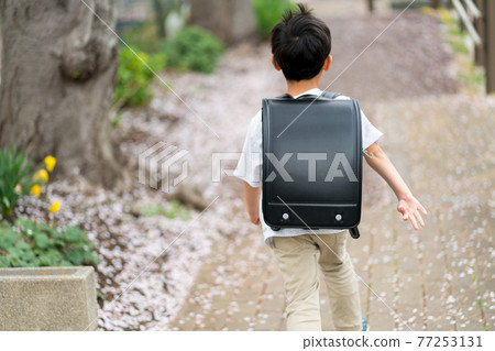 primary school child, schoolchild, schooler 77253131