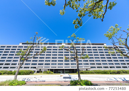 福岡縣政府福岡縣福岡市 福岡縣政府福岡縣福岡市 77253480