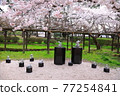 Spring Izumo Taisha Spring Izumo Taisha 77254841