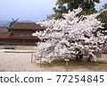 Spring Izumo Taisha Spring Izumo Taisha 77254845