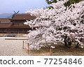 Spring Izumo Taisha Spring Izumo Taisha 77254846