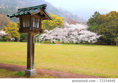 Spring Izumo Taisha Spring Izumo Taisha 77254848