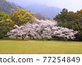 Spring Izumo Taisha Spring Izumo Taisha 77254849