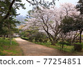 Spring Izumo Taisha Spring Izumo Taisha 77254851