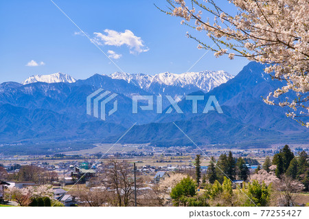 View of the Northern Alps from Chofukuji Temple View of the Northern Alps from Chofukuji Temple 77255427