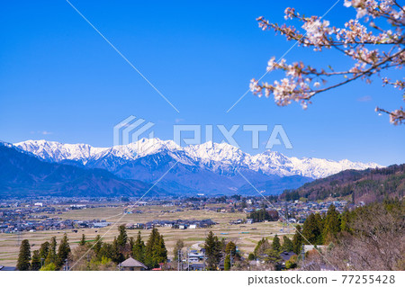 View of the Northern Alps from Chofukuji Temple View of the Northern Alps from Chofukuji Temple 77255428