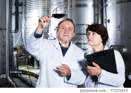 Two experts in winery Two experts in winery 77255613