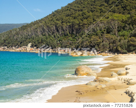 North Waterloo Bay - Wilsons Promontory 77255826