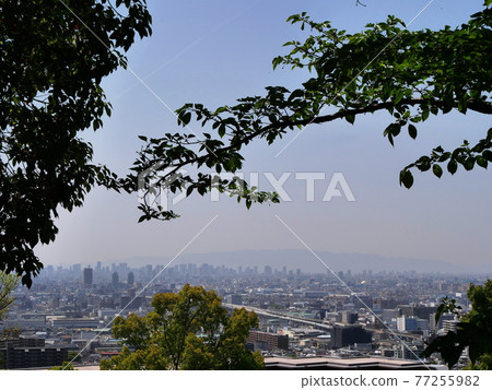 大阪平岡公園 從公園看大阪平原（東大阪，大阪市中心）（向西，春天） 77255982