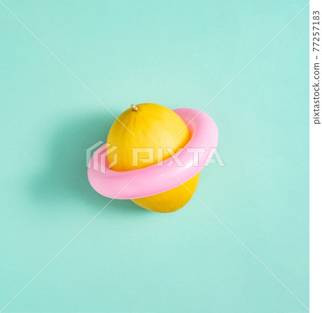 Yellow honeydew melon with pink swimming ring isolated on green background. Yellow honeydew melon with pink swimming ring isolated on green background. 77257183