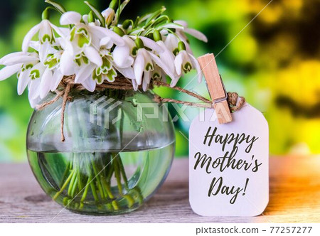 Happy Mothers Day lettering greeting card. Spring flowers snowdrop. Best mom ever. Beautiful tender bouquet of flowers. Holiday concept Happy Mothers Day lettering greeting card. Spring flowers snowdrop. Best mom ever. Beautiful tender bouquet of flowers. Holiday concept 77257277