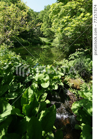 四季漫步春田島高原植物園 77257874