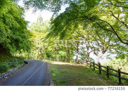 Chichibu Muse Park promenade Chichibu Muse Park promenade 77258150