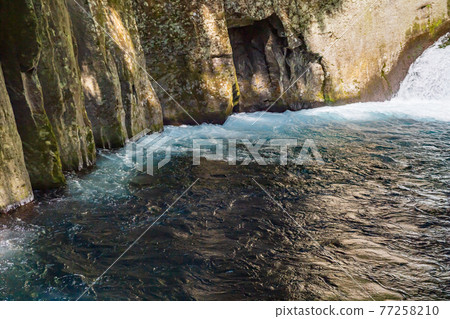 Beautiful scenery of Kikuchi Gorge when it was fresh green Beautiful scenery of Kikuchi Gorge when it was fresh green 77258210