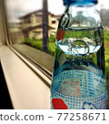 悠閒地休息，Ramune凝視著車窗 77258671