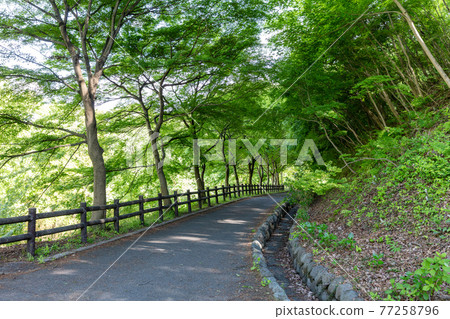 Chichibu Muse Park promenade Chichibu Muse Park promenade 77258796