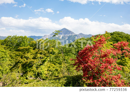 Chichibu Muse Park's mountain shackles and Mt. Buko Chichibu Muse Park's mountain shackles and Mt. Buko 77259336