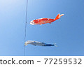 Carp streamer swimming in the blue sky Background material 77259532