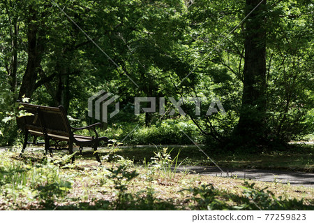 四季漫步春田島高原植物園 四季漫步春田島高原植物園 77259823