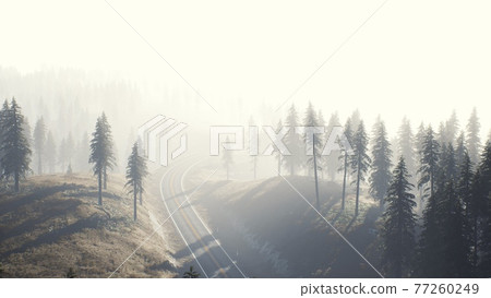 road through the russian taiga forest from aerial view road through the russian taiga forest from aerial view 77260249