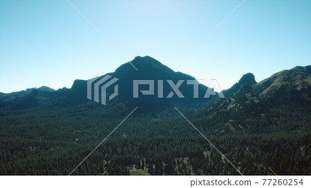 panorama of cone forest at mountains panorama of cone forest at mountains 77260254