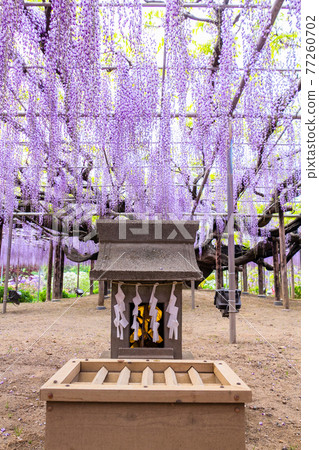 Ofuji's guardian deity (vertical) Ofuji's guardian deity (vertical) 77260702