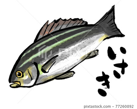 水彩風格的咕嚕聲和畫筆字母 水彩風格的咕嚕聲和畫筆字母 77260892