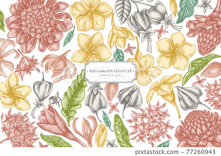 Floral design with pastel plumeria, allamanda, clerodendrum, champak, etlingera, ixora 77260943