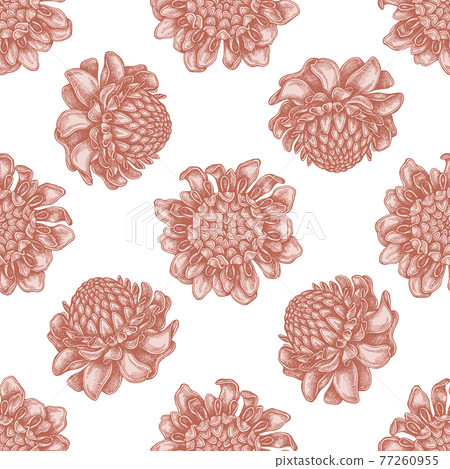 Seamless pattern with hand drawn pastel etlingera Seamless pattern with hand drawn pastel etlingera 77260955