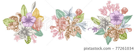 Flower bouquet of pastel laelia, feijoa flowers, glory bush, papilio torquatus, cinchona, cattleya Flower bouquet of pastel laelia, feijoa flowers, glory bush, papilio torquatus, cinchona, cattleya 77261034