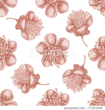 Seamless pattern with hand drawn pastel feijoa flowers Seamless pattern with hand drawn pastel feijoa flowers 77261046