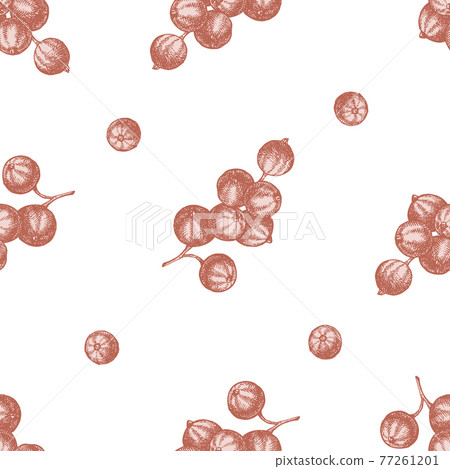 Seamless pattern with hand drawn pastel red currant Seamless pattern with hand drawn pastel red currant 77261201