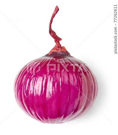 fresh peeled red onion fresh peeled red onion 77262611