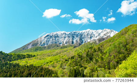 新鮮的雪和新鮮的綠色大山(Kagikake Pass) 新鮮的雪和新鮮的綠色大山(Kagikake Pass) 77263944