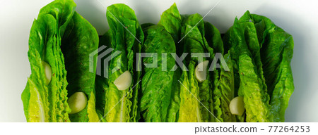 Fresh, cut romaine lettuce with garlic, pepper and salt Fresh, cut romaine lettuce with garlic, pepper and salt 77264253