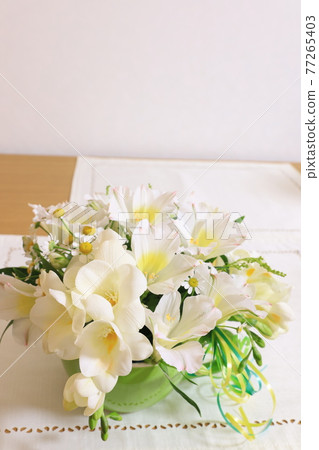 白花安排 77265403