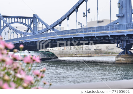 橋樑和船舶景觀 橋樑和船舶景觀 77265601