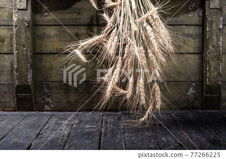 A bunch of dry spikelets of wheat. A bouquet of spikelets of wheat. Inverted bouquet. A bunch of dry spikelets of wheat. A bouquet of spikelets of wheat. Inverted bouquet. 77266225