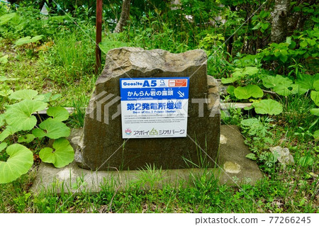 Mount Apoi Geopark, No. 2 Power Station Dam 77266245